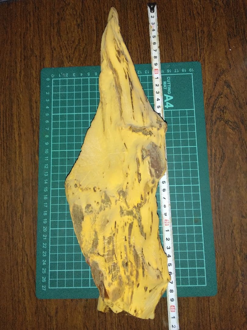 珪化木？産地不明　内部鉱物化　鉱物標本　不思議な石　オパール化？