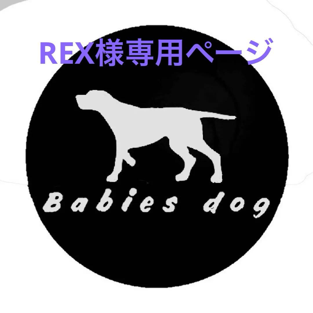 REXページ　大型犬用　コンチョ付ハーフチョーク　2本