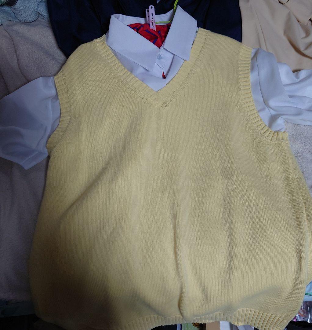 南ことり着ぐるみコスプレセット