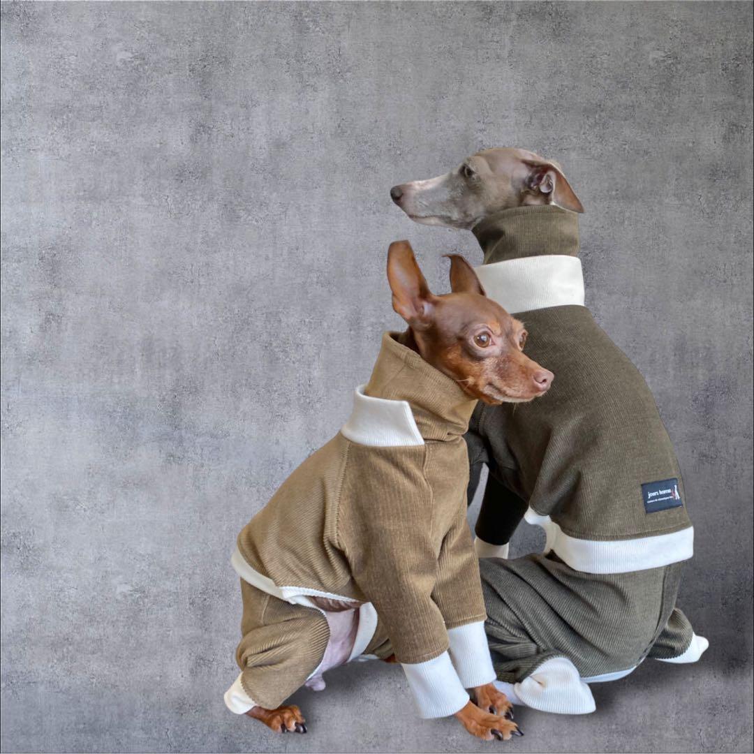 ⑪コーデュロイ イン パリ