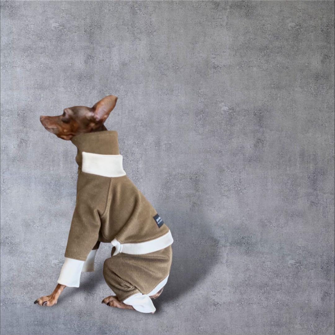 ⑪コーデュロイ イン パリ