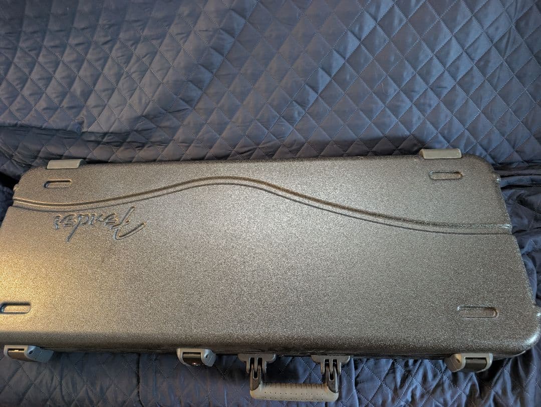 ギター American Professional2 Stratocaster