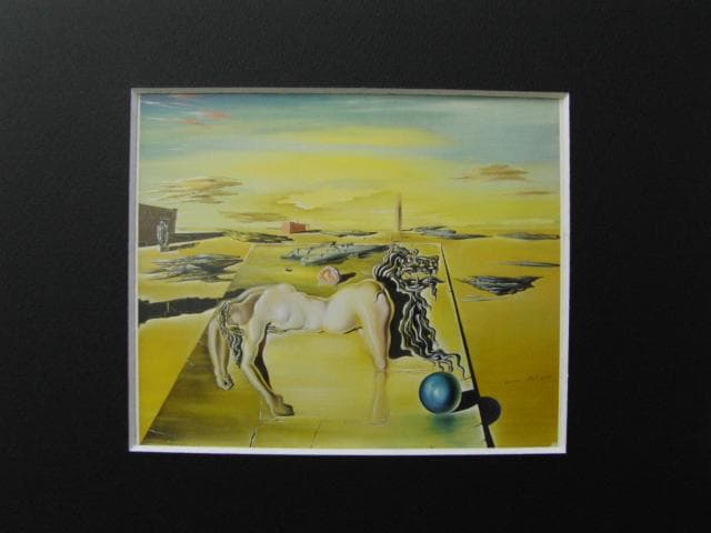 サルバドール・ダリ【姿の見えない眠る人、馬、獅子】　 高級画集画