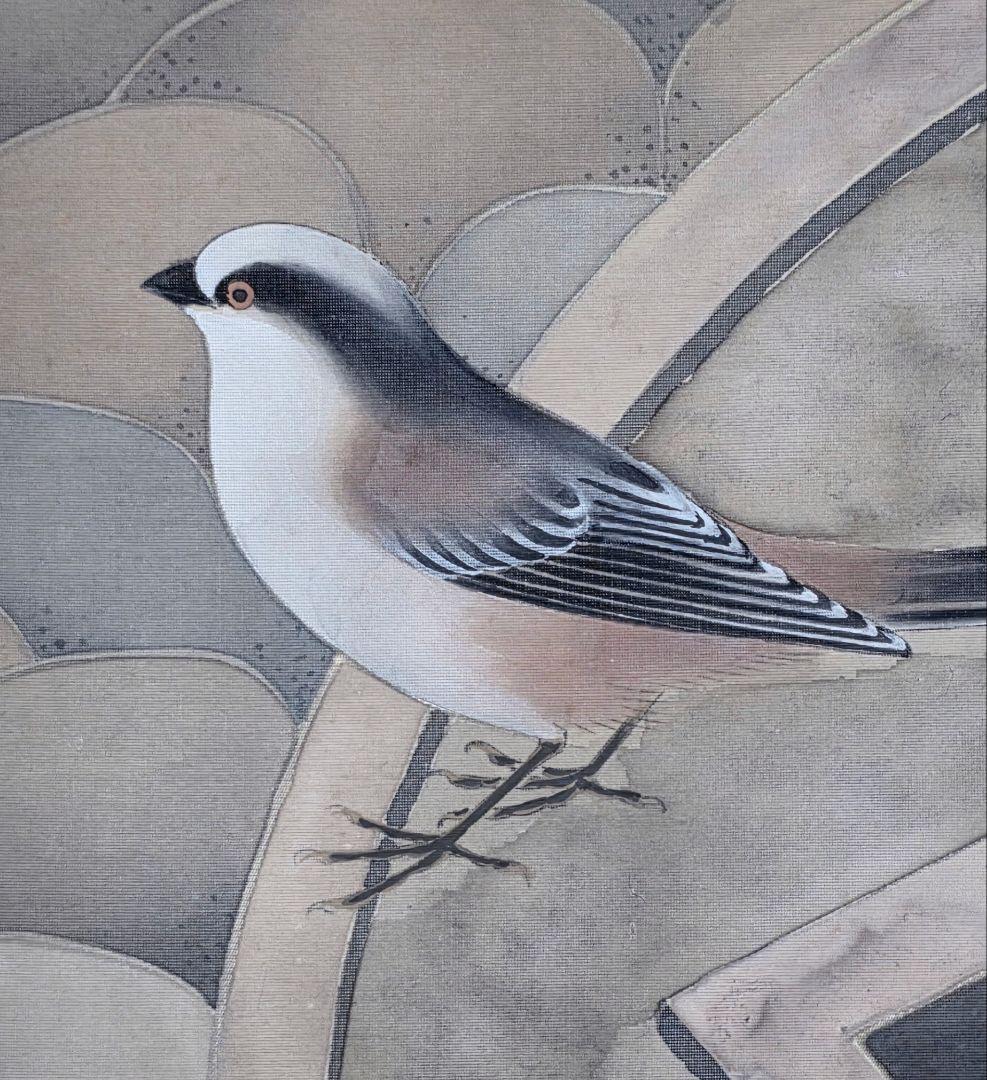 【銭形水鉢に鳥図】三村石邦 2719 掛け軸 肉筆 富山県 日本庭園 龍安寺