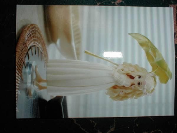 ワンフェス限定 ハチミツとクローバー 2 花本はぐみ 植物少女園 ガレージキット