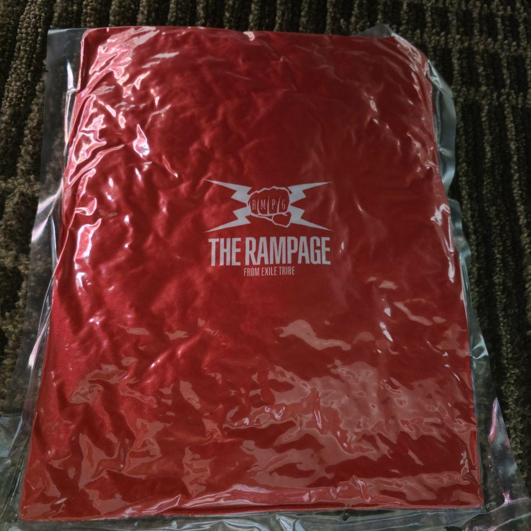 山本彰吾　クッション