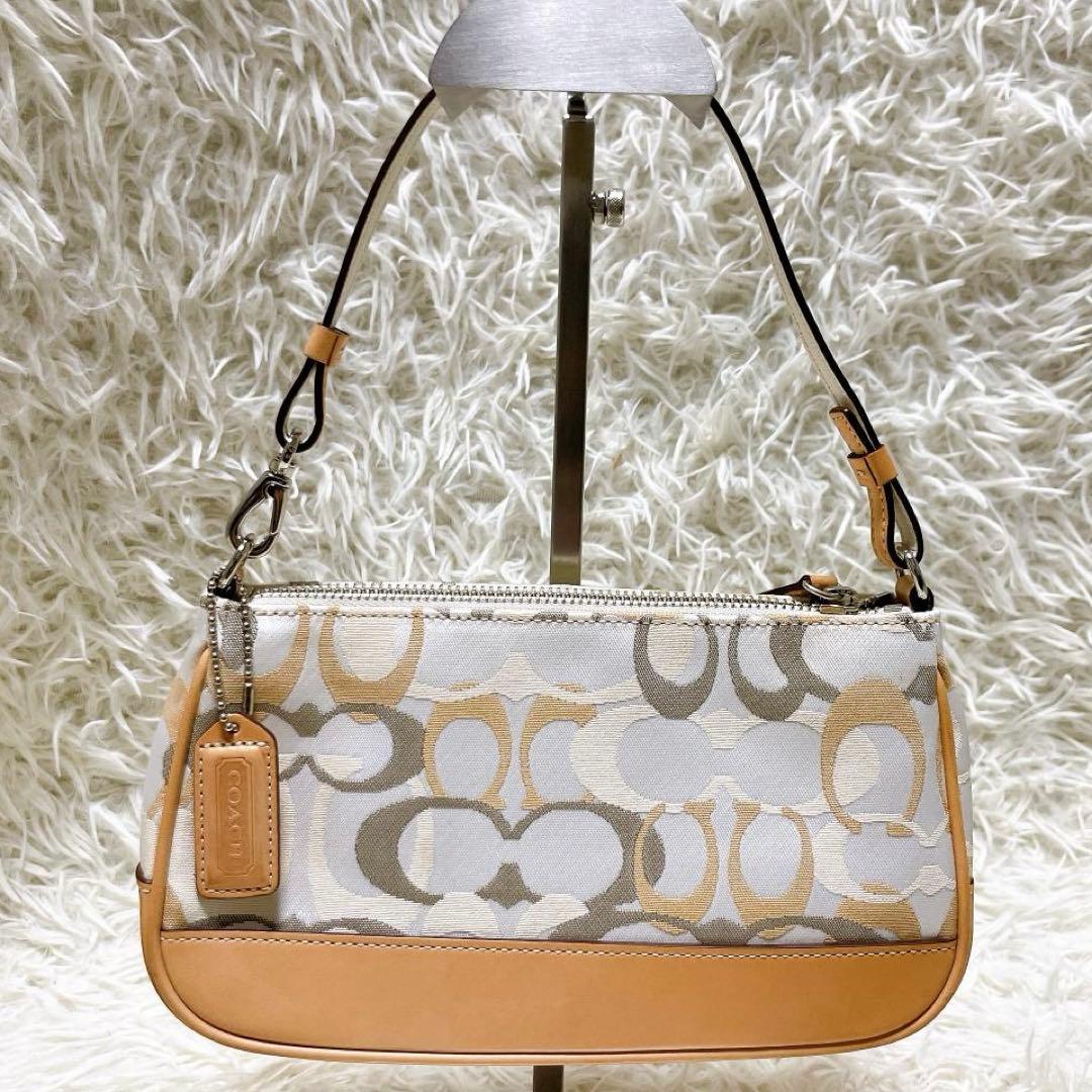 美品 COACH アクセサリーポーチ ハンドバッグ シグネチャー ハンドバッグ