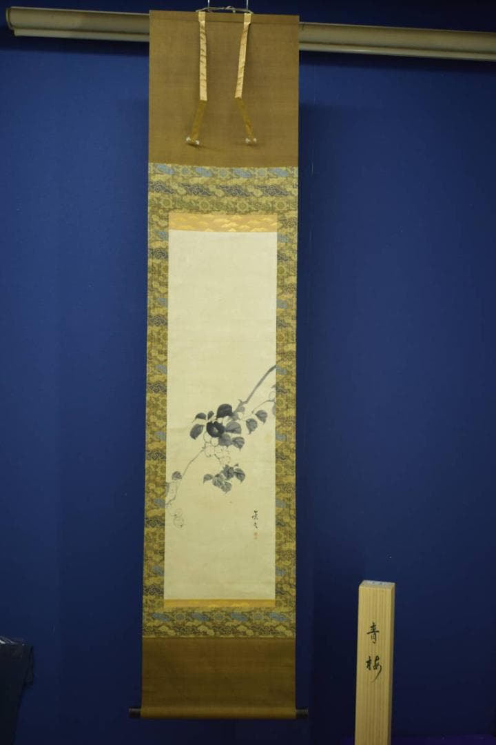 真作/松村景文/青梅/桐共箱付/布袋屋掛軸HI-954