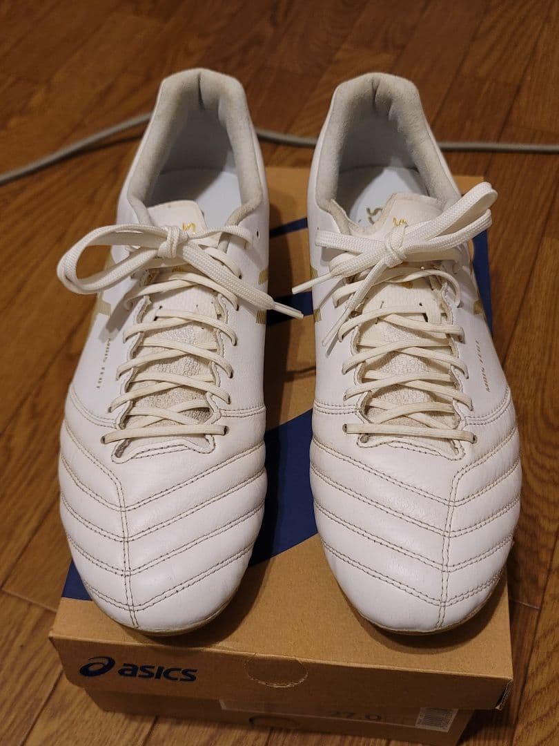 マ*ト様 ASICS DS LIGHT X-FLY PRO 27cm　美品