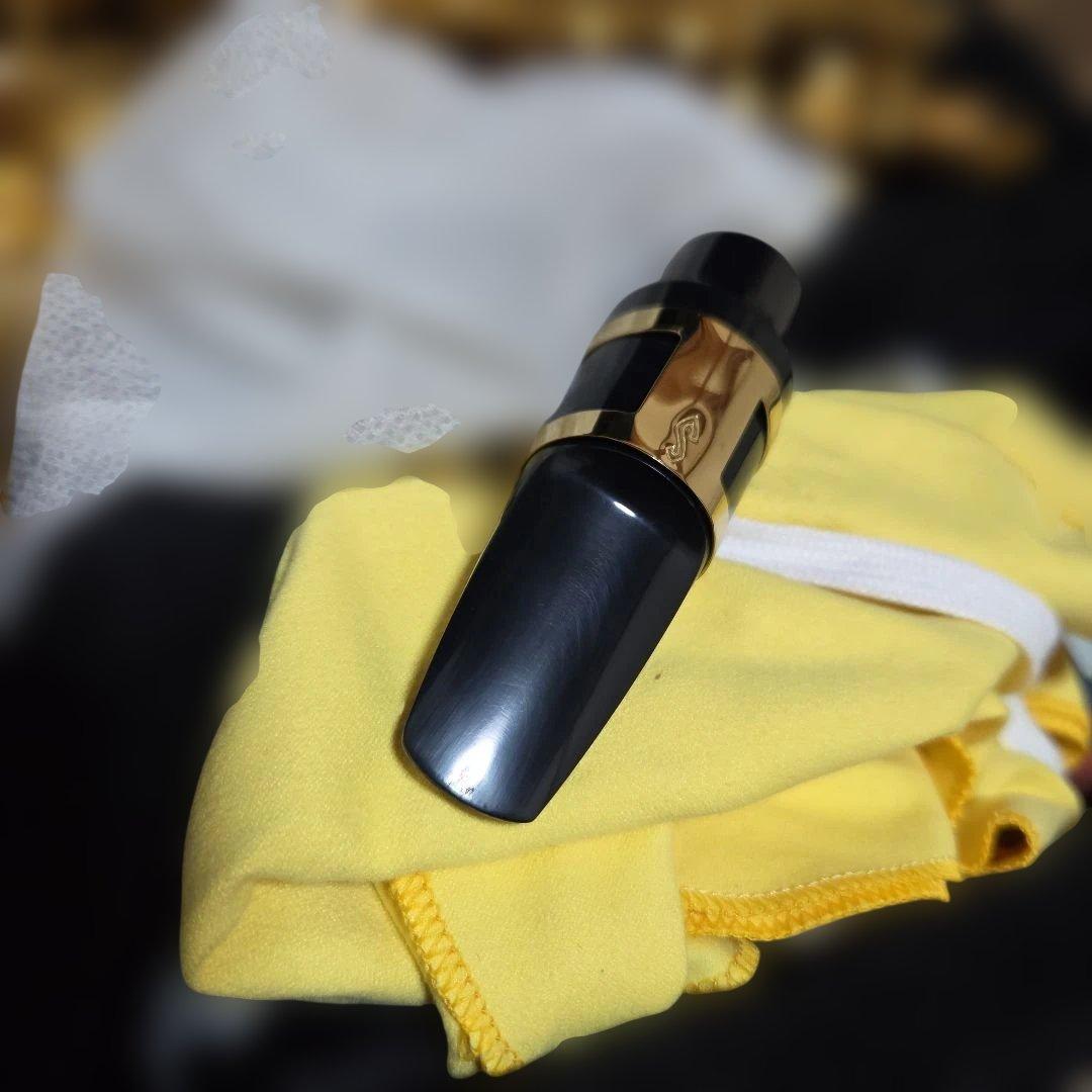 アルトサックス 初心者セット 入門用 E Saxophone 吹奏楽