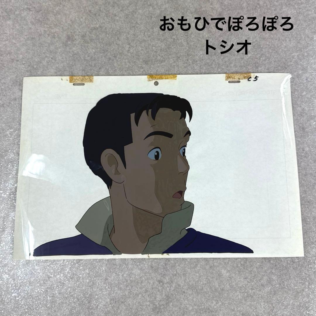 希少 おもひでぽろぽろ トシオ セル画 C5 スタジオジブリ
