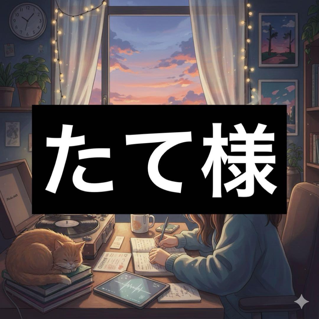 ベルト(シルバーB)