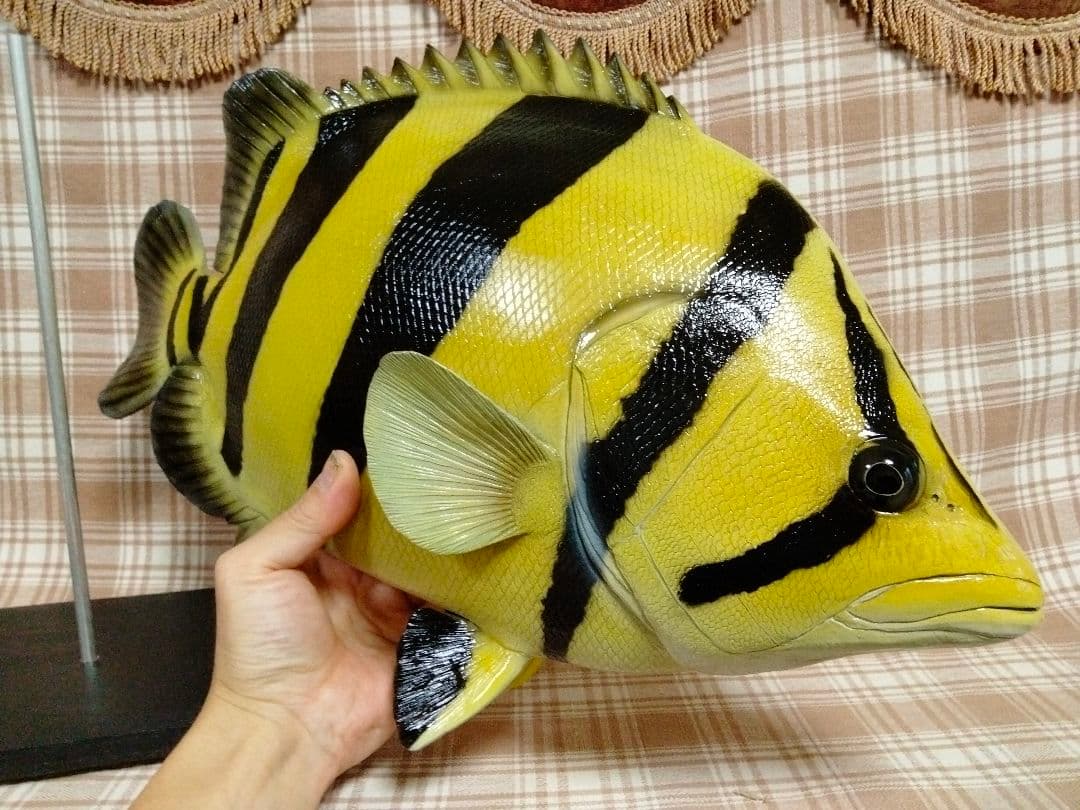 ハンドメイド　48cmダトニオ シャムタイガー　フィギュア　レプリカ　置物　魚