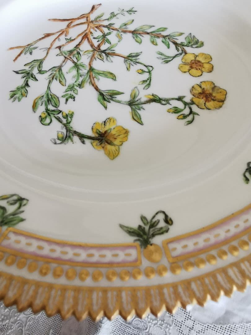 ロイヤルコペンハーゲン至宝φ25フローラダニカ 岩薔薇ヘリアンテム・ヌンムラリム