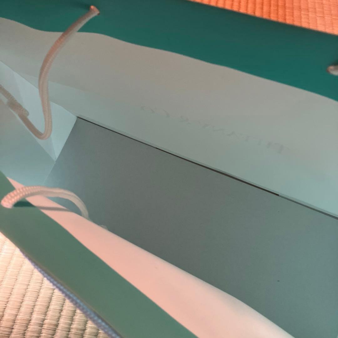 新品、Tiffany & Co. ショッパー 10枚