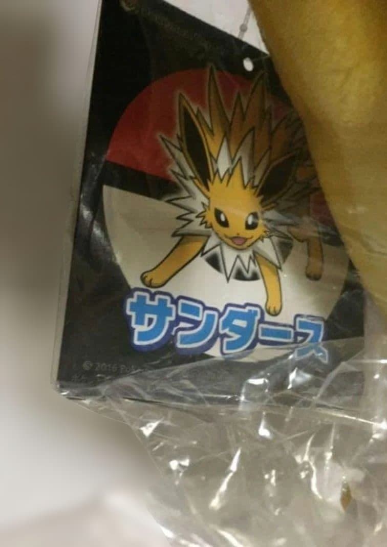 ポケモンセンターオリジナル ぬいぐるみ ブラッキー などセット　ポケモン　新品