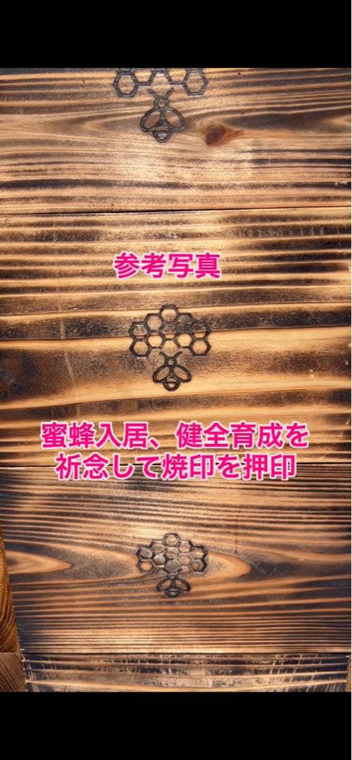 ニホンミツバチ　重箱式巣箱　営巣用巣箱5段　板厚3cm
