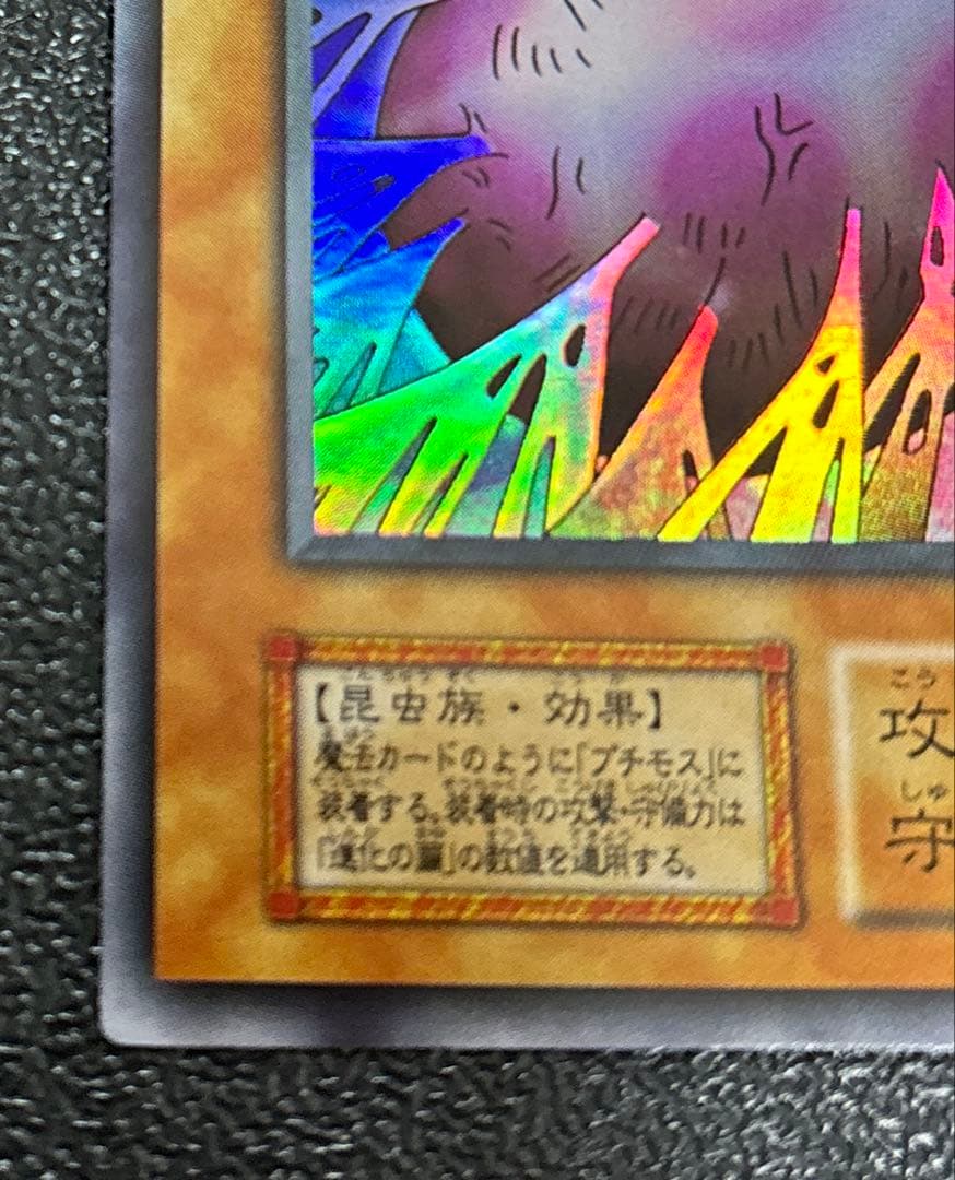 (美品)遊戯王カード初期　進化の繭　スタジオダイス版