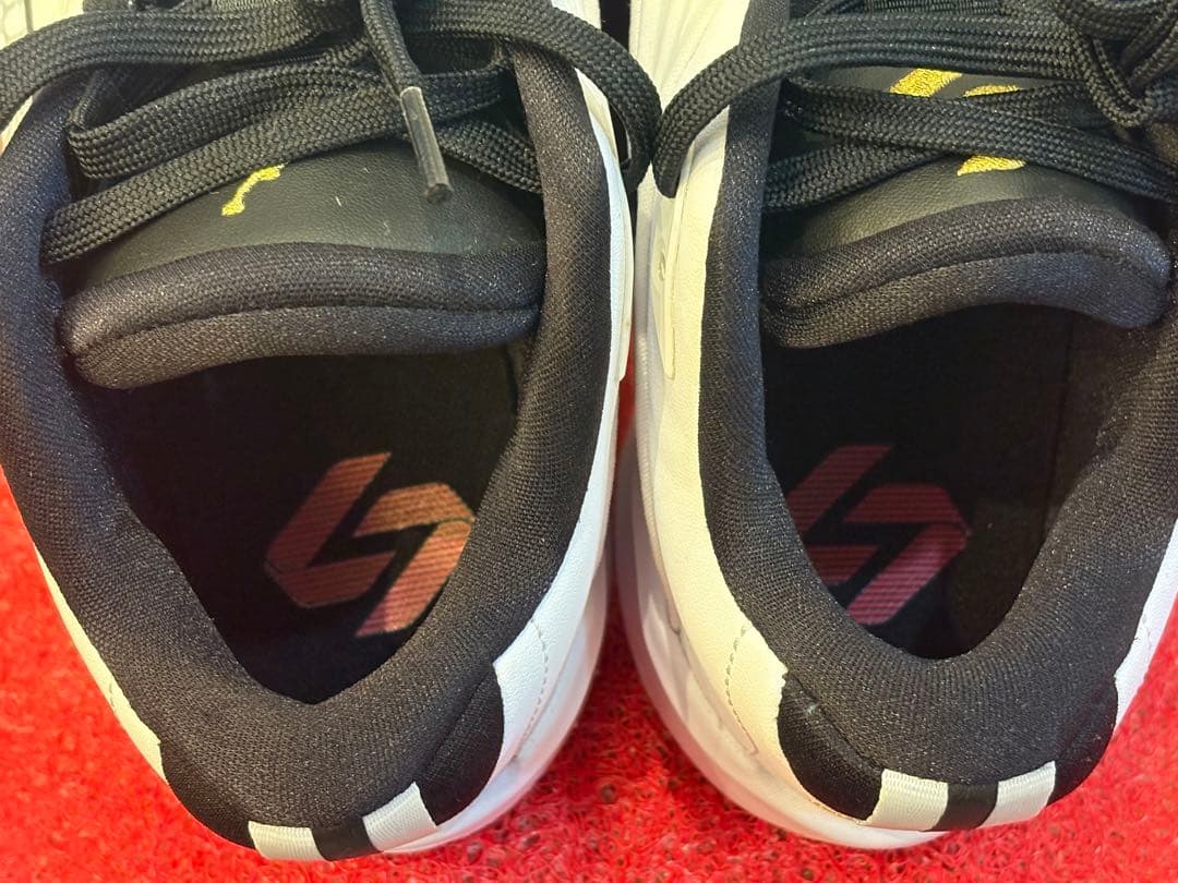 NIKE Jordan ルカ3 LUKA 24.5cm バッシュ　ジョーダン