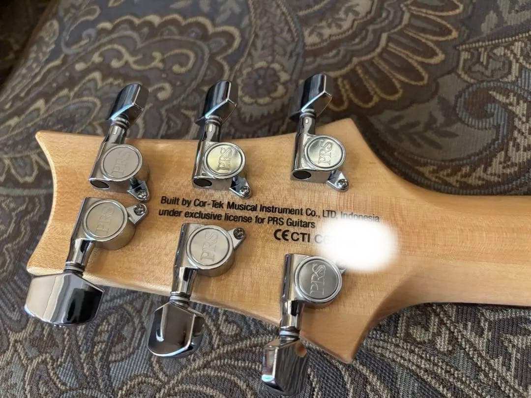 ギター PRS SE Custom 22 Semi-Hollow