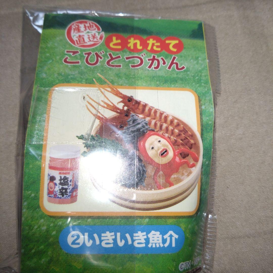 【未使用】リーメント ドキドキ発見！ こびとづかん ミニケース＋産地直送とれたて