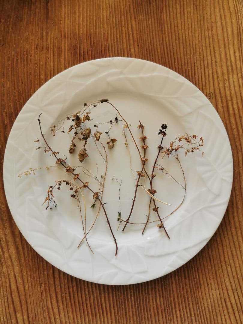 アンティーク/ヴィンテージ 仏リモージュ リーフレリーフ 30㎝ディナープレート