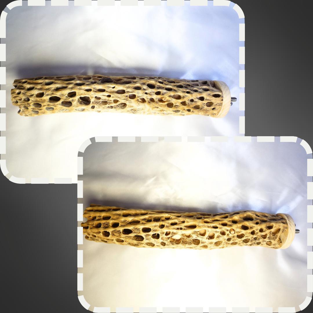 リバティ☆さま専用カクタス　パーチ　特注品