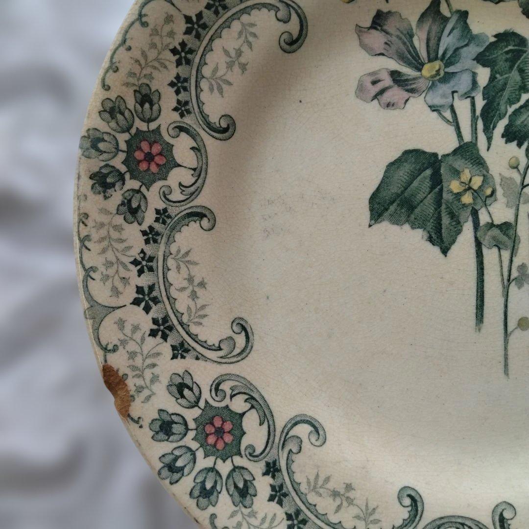 ライン他あり・ショワジールロワプレート・切り花/フランスアンティーク