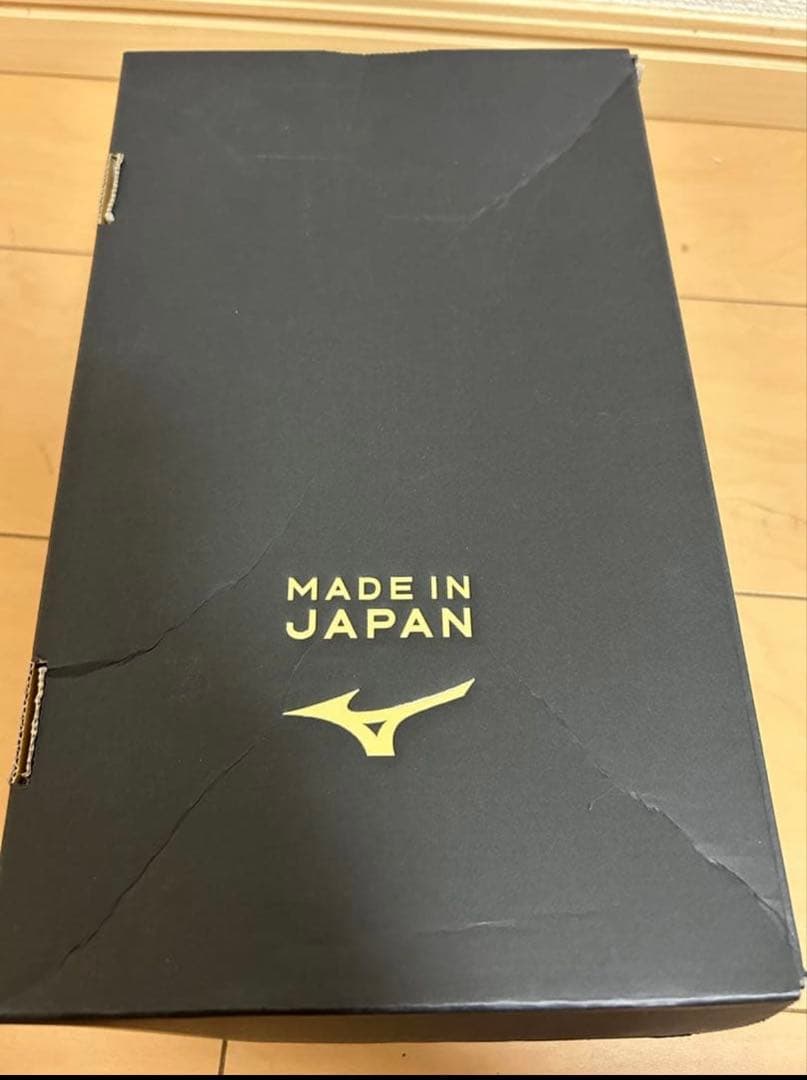 ミズノ アルファ2 JAPAN 25.0cm