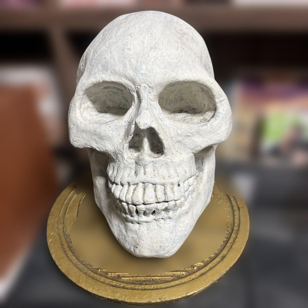 ホワイトスカル（頭蓋骨）