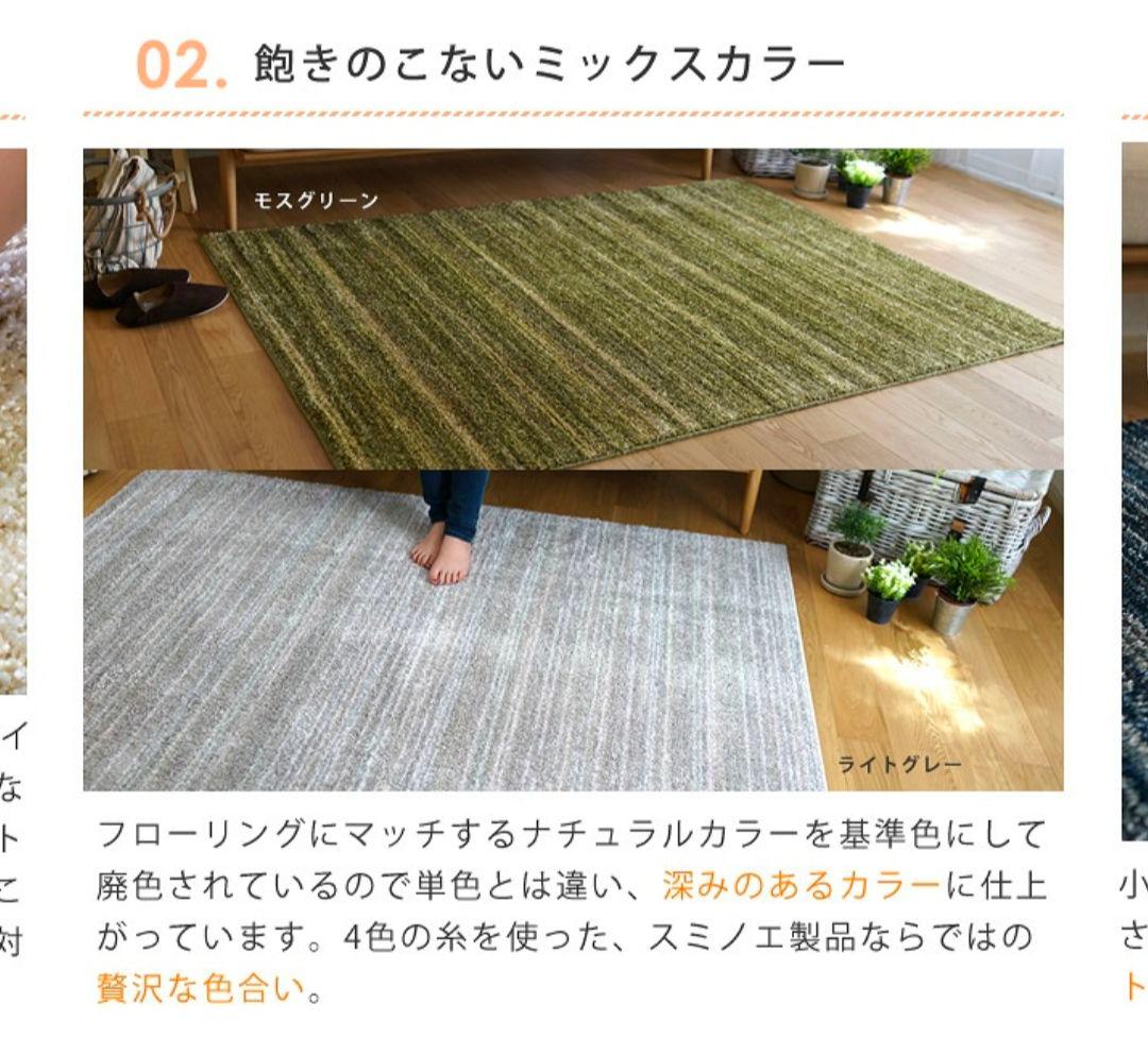 スミノエ ナイロンラグ リュストル 楕円形 140×200/防ダニ・防炎　高品質