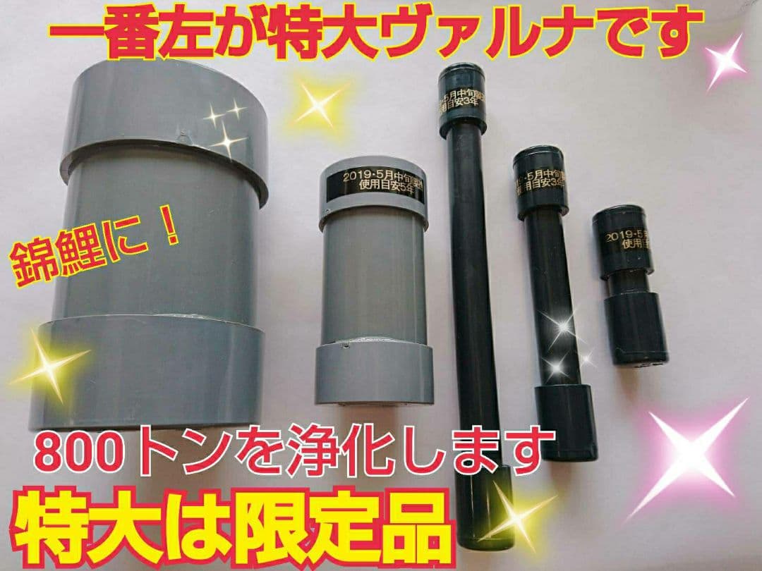 ヴァルナミニ　8センチ　水槽の透明度が抜群に！有害物質強力抑制！水替え不要に！
