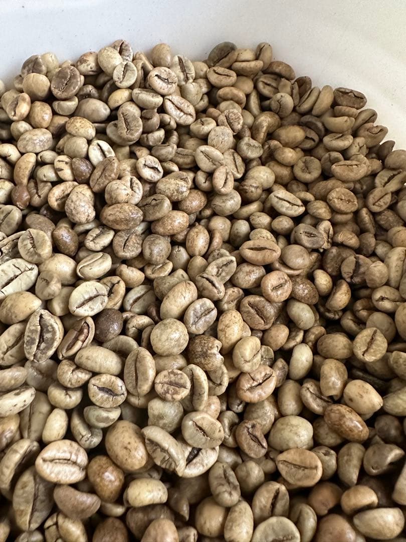 爆安!!【コーヒー生豆】ジャバ/ロブスタ/インドネシア 8kg※送料無料