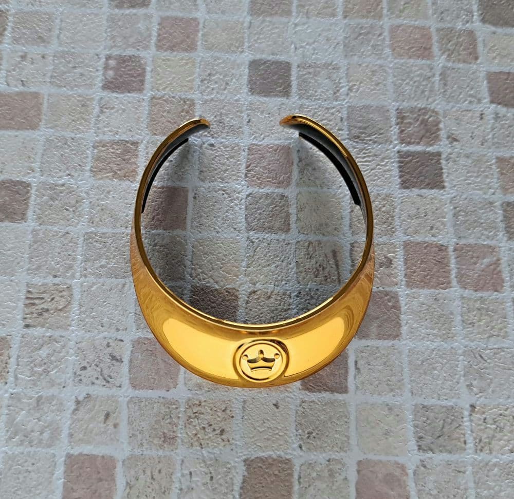 aiboプレミアムプラン２０１９～２０２０年　限定品　ゴールド首輪