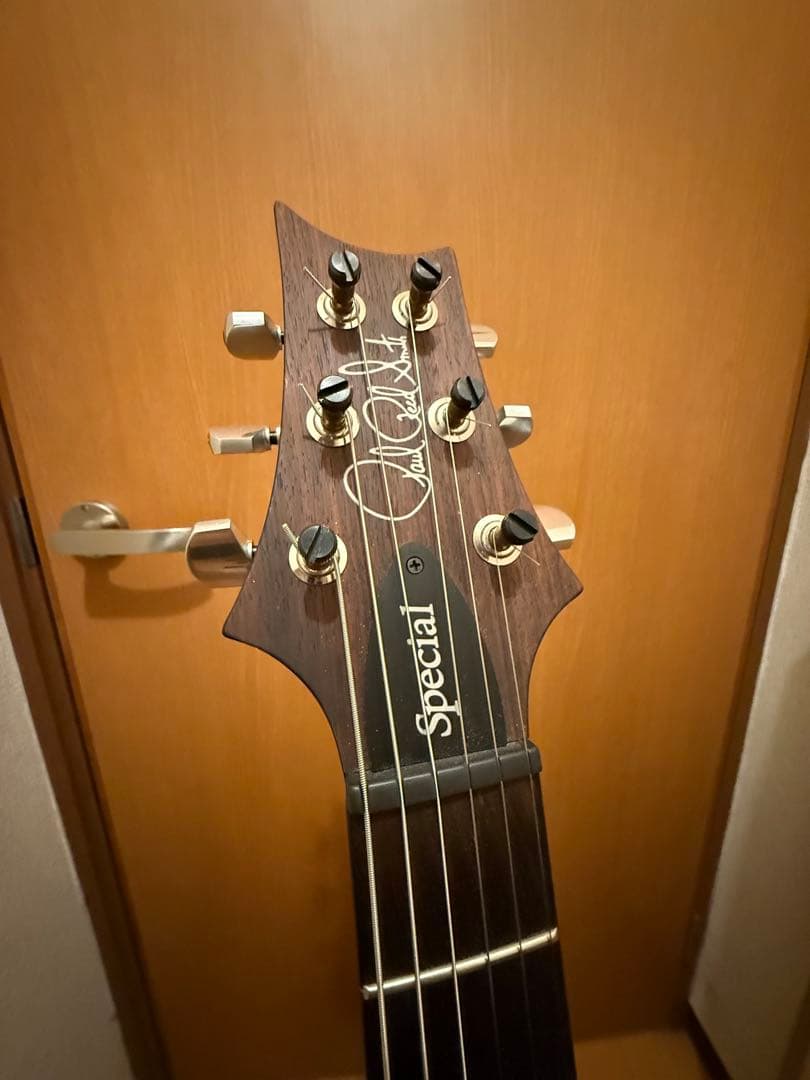 PRS Special 22 semi-hollow (2023) セミアコ