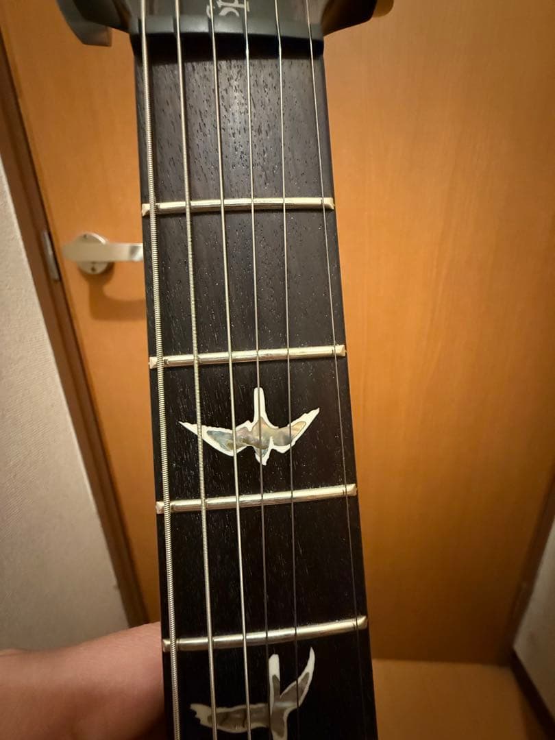 PRS Special 22 semi-hollow (2023) セミアコ