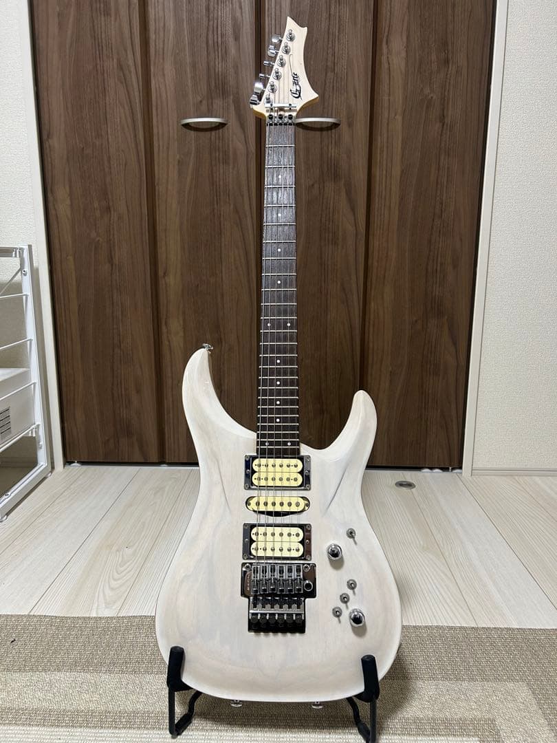 ギター DSG Standard Ash /  White