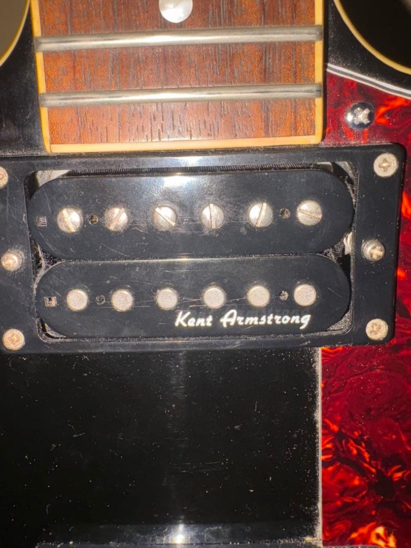 Burny RSA-55 セミアコ ES-335タイプ