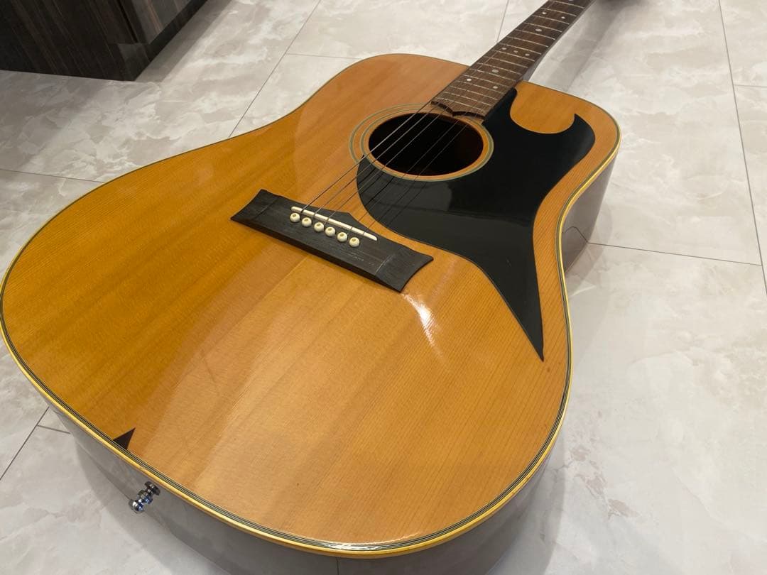 【高級】グレコ　G-40 ビンテージギター　the greco guiter