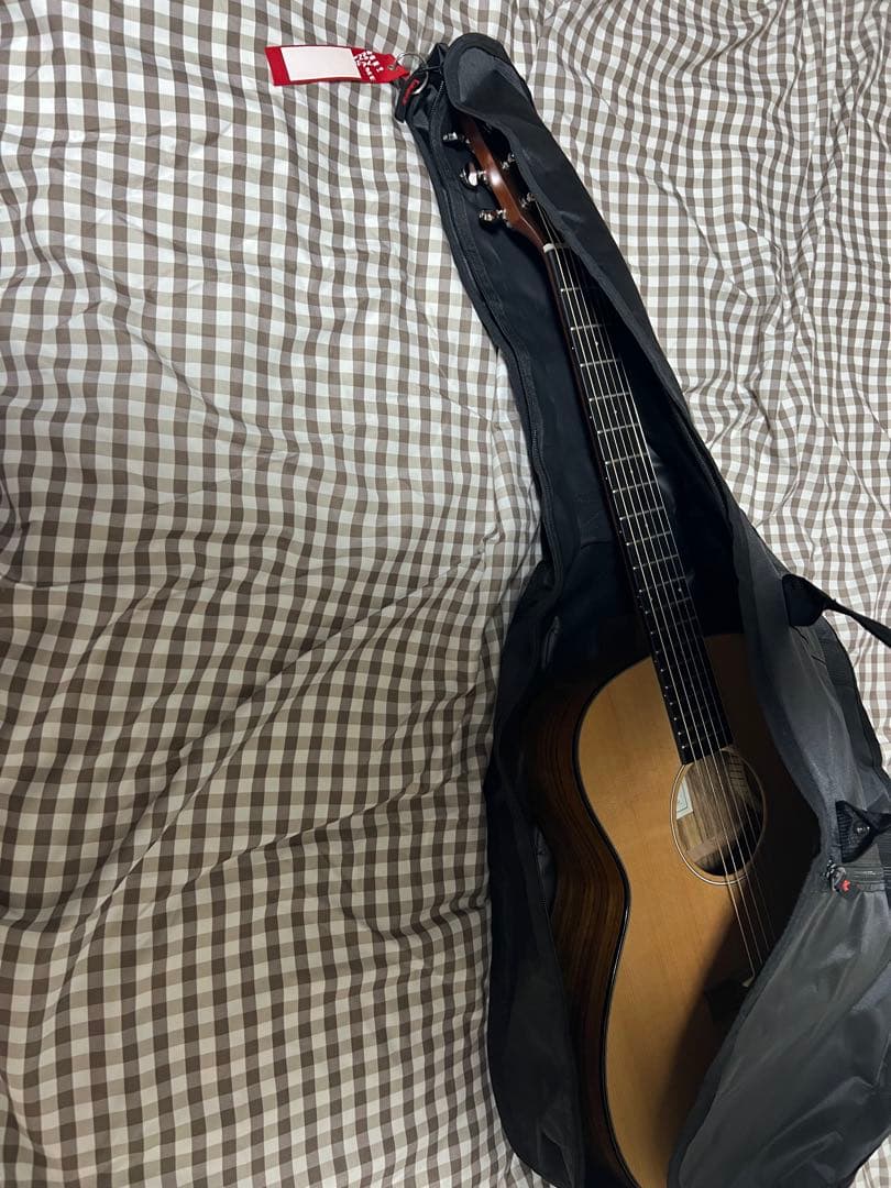 SX SS760E アコースティックギター　エレアコ