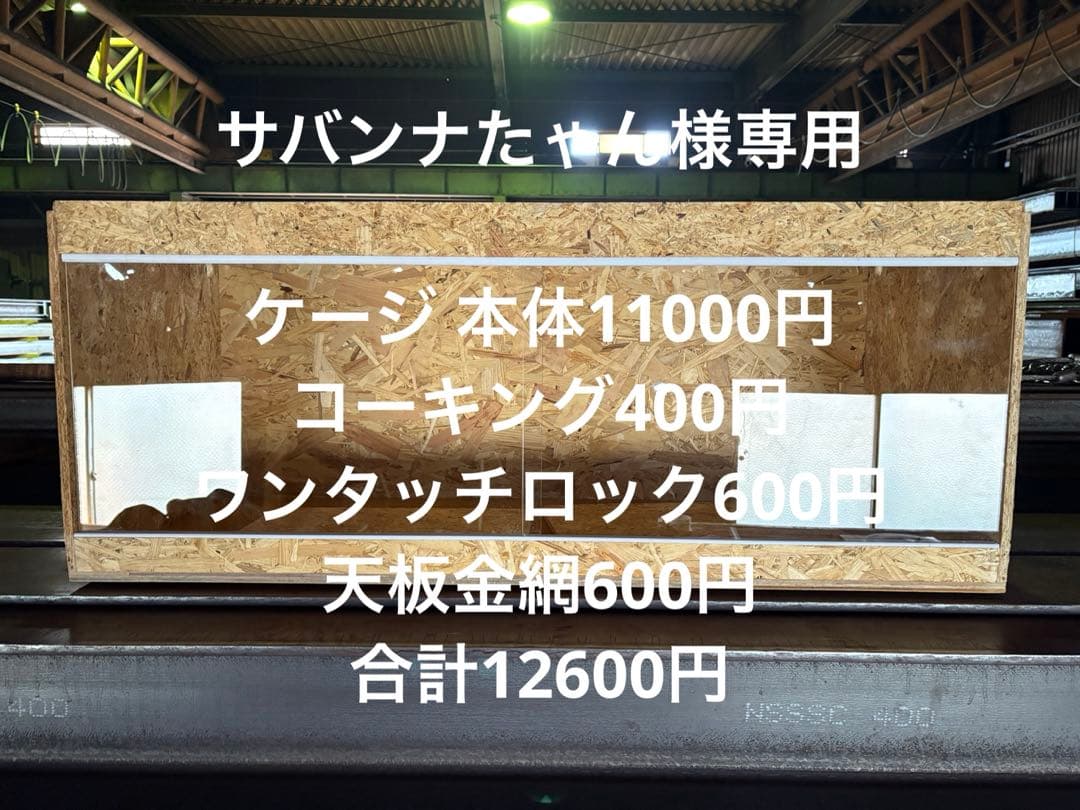 サバンナたゃん　904545