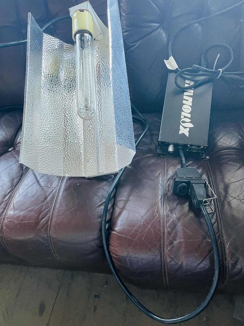 (Nanoluxコンセント付き)　水草用ライト