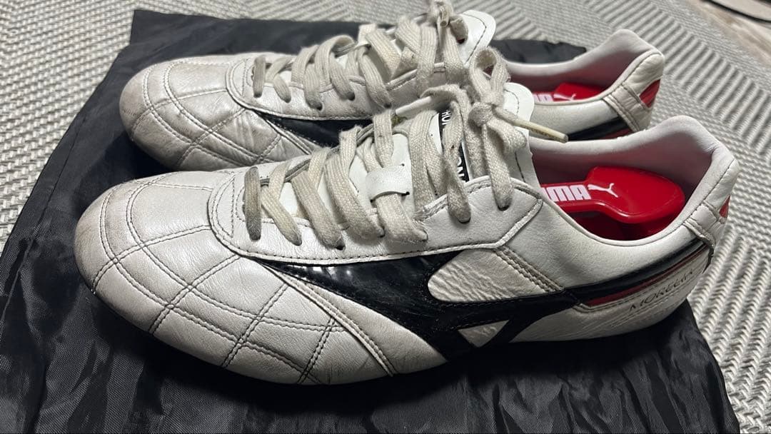 MIZUNO モレリアII JAPAN /クロスステッチ/25cm（専用）