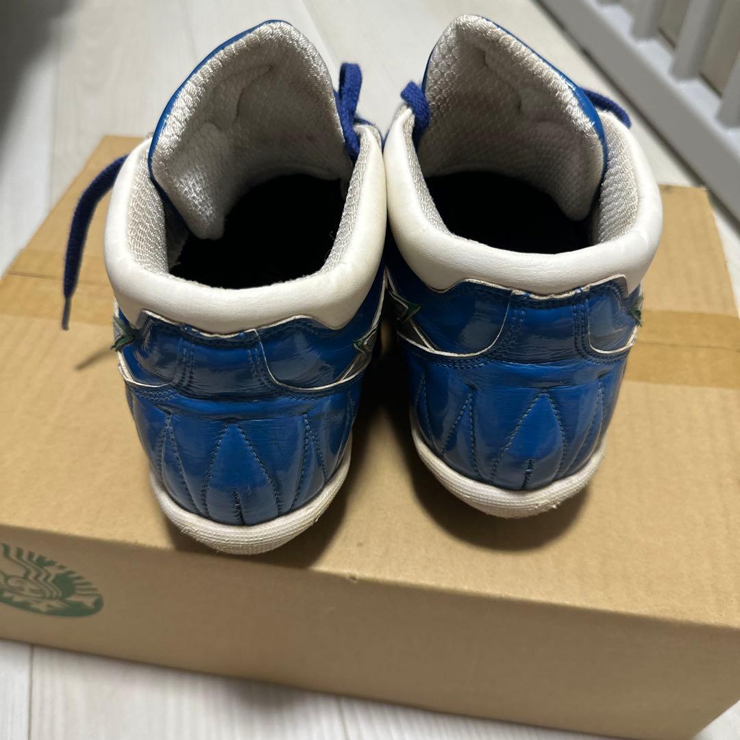 ミズノプロオーダースパイク24.5