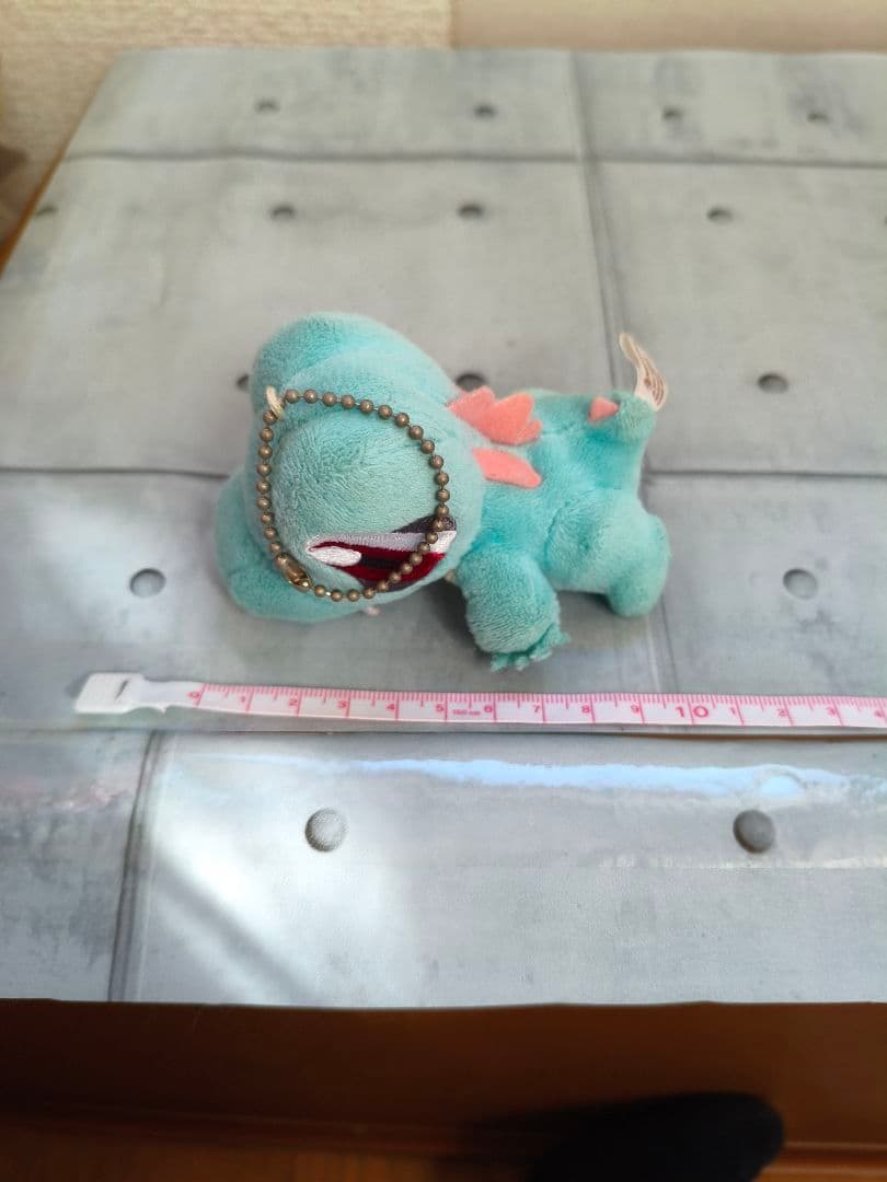 6/1/9　ポケモン ポケモンセンター　ワニノコ ぬいぐるみ マスコット