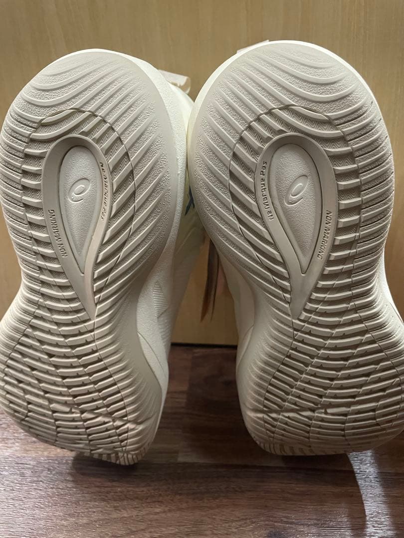 シューズ(男性用) NOVA SURGE 3 27.5cm