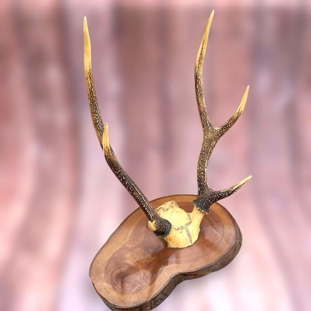 刀掛け　日本刀　模造刀