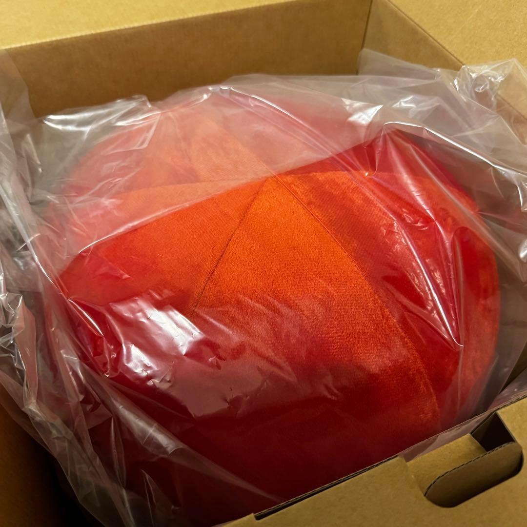 ✦PROIDEA ストレッチパートナー ハグスフィア✦オレンジ