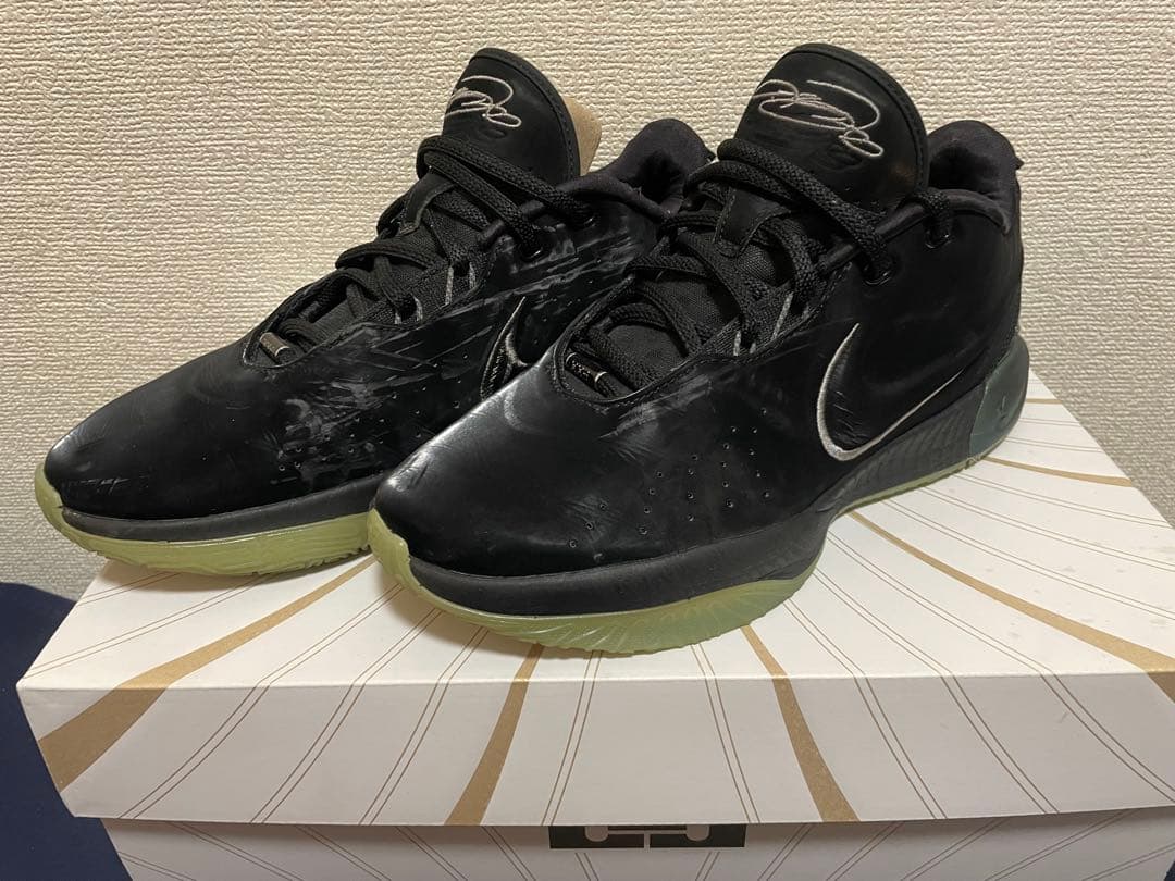 Nike レブロン 21 EP FB2236-001 タイタン