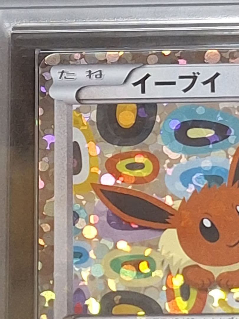 ARS10 イーブイ イーブイコレクションファイル PSA10 相当 プロモ